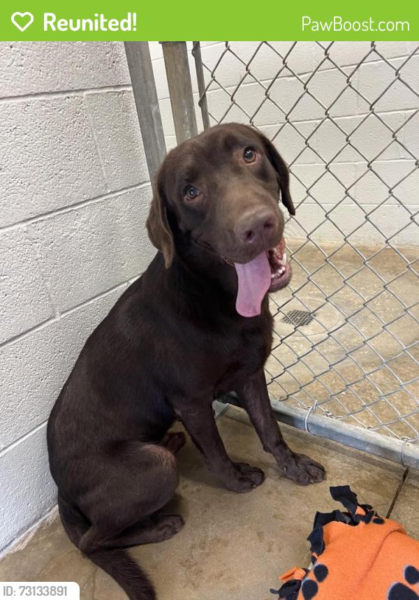 Reunited Male Dog last seen Near NW 59th St., Warr Acres, OK 73122