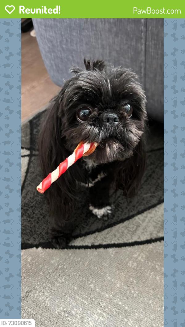 Reunited Female Dog last seen Mt olivet / Riverview drive, Kalamazoo, MI 49004