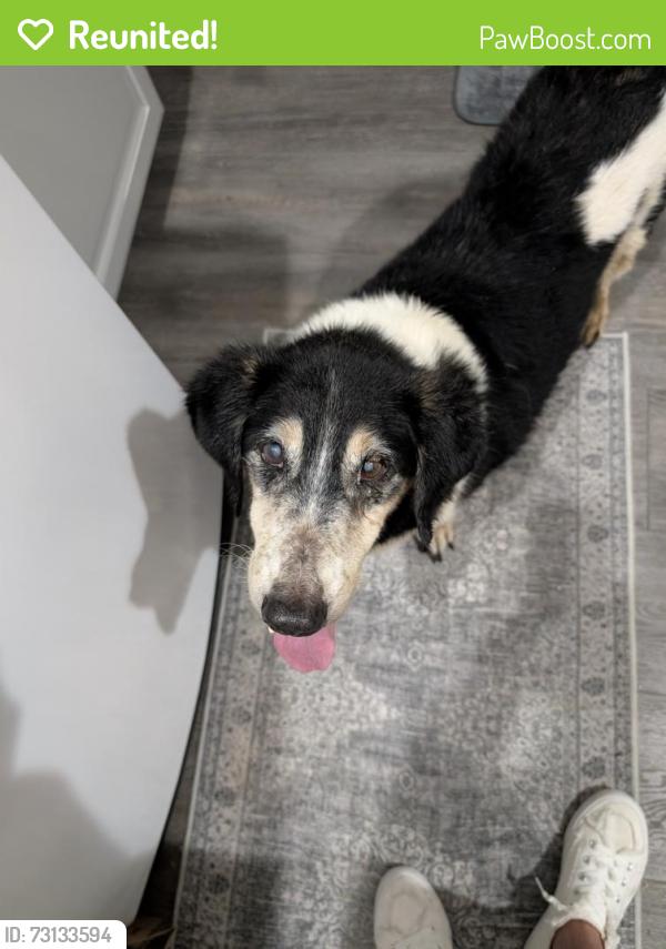 Reunited Unknown Dog last seen Northwest Dr and Fairmont, Longview, TX 75601