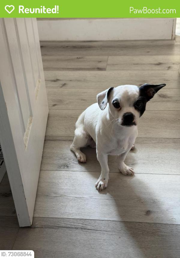 Reunited Male Dog last seen Mobile park homes, Los Gatos, CA 95032