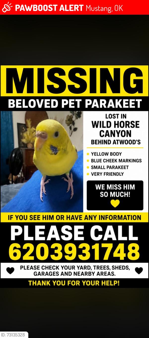Lost Female Bird last seen Highway 4, Mustang, OK 73064
