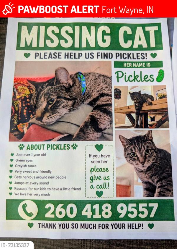 Lost Female Cat last seen Redwood apmts Noyer Road, Fort Wayne, IN 46814