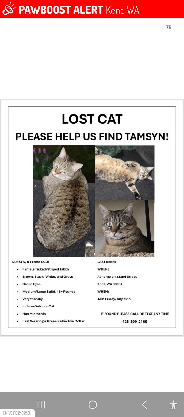Lost Female Cat last seen Kent East Hill, Kent, WA 98031