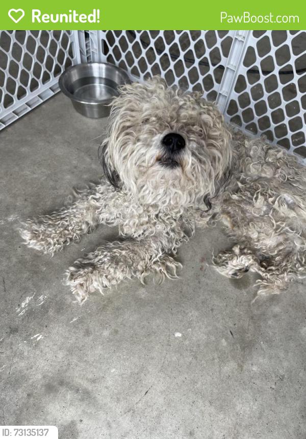 Reunited Male Dog last seen Cognac Ct, San Jacinto, CA 92583