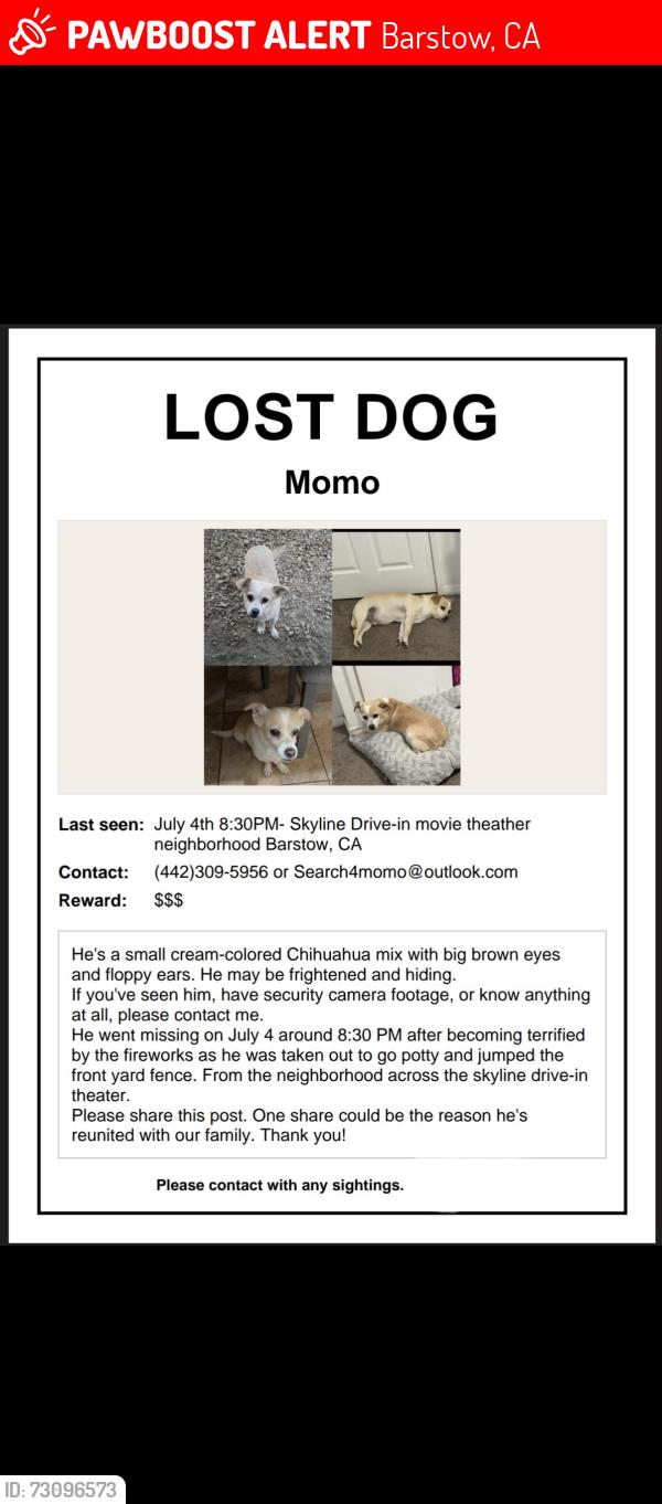 Lost Male Dog last seen Skyline drive-in theather, Barstow, CA 92311
