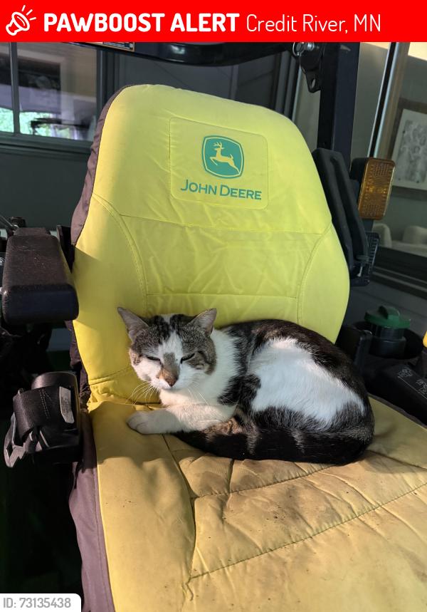 Lost Male Cat last seen Legends Gold Course, Credit River, MN 55372