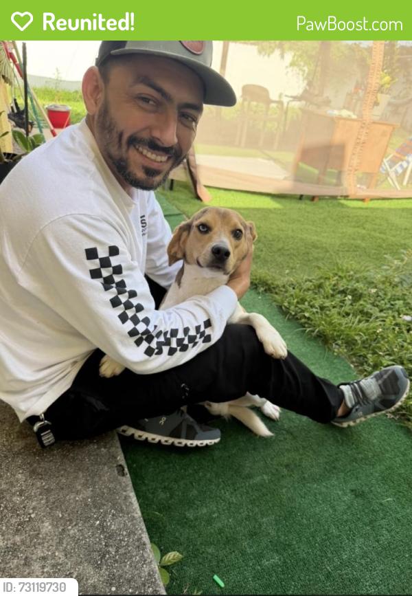 Reunited Male Dog last seen Near nw 103 st, Miami, FL 33147
