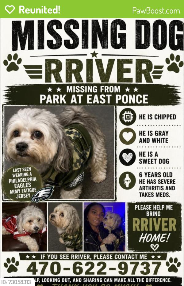 Reunited Male Dog last seen Tree mountain park way, Stone Mountain, GA 30083