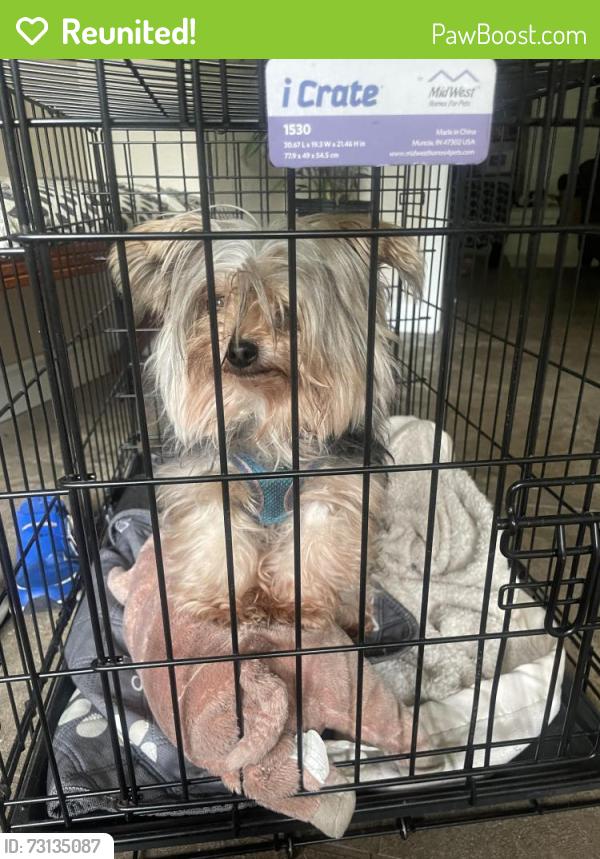 Reunited Female Dog last seen Ridge Crest Rd and Gann Store, Chattanooga, TN 37343