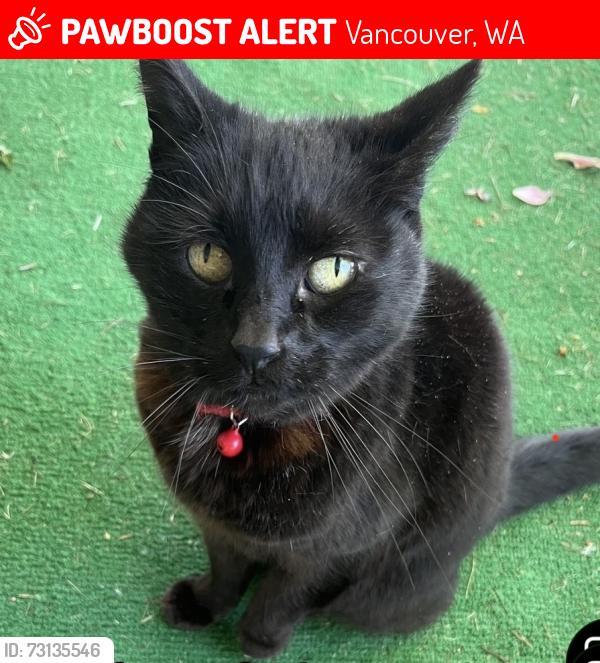 Lost Female Cat last seen Ne 18th street harmony elementary school, Vancouver, WA 98684