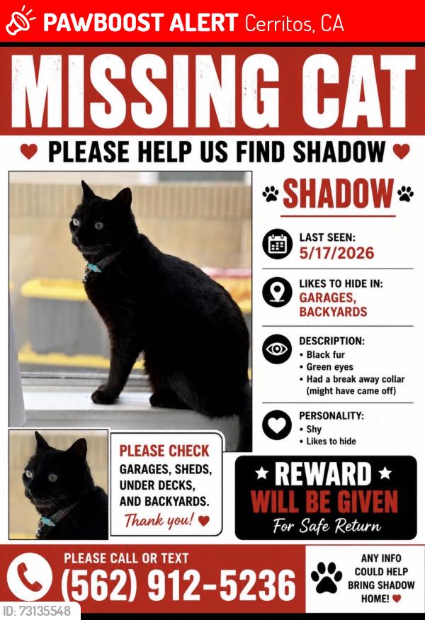 Lost Female Cat last seen Cerritos/Artesia, Cerritos, CA 90702