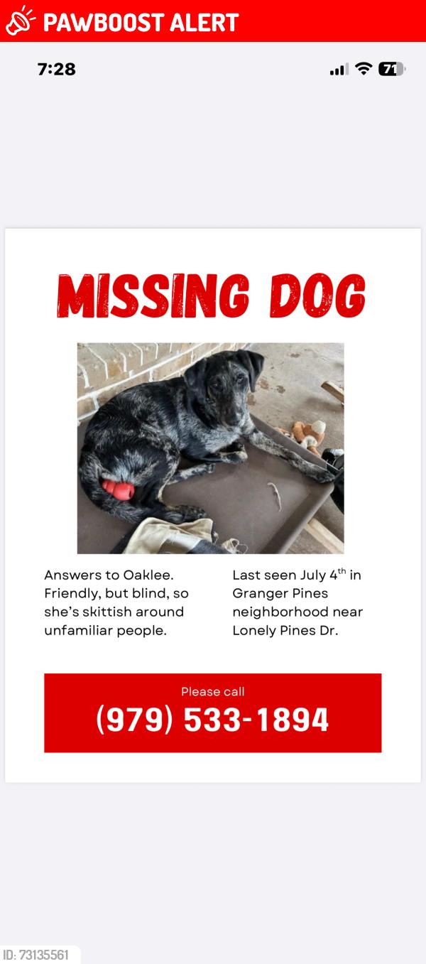 Lost Female Dog last seen Lonely Pines Dr, Montgomery County, TX 77302