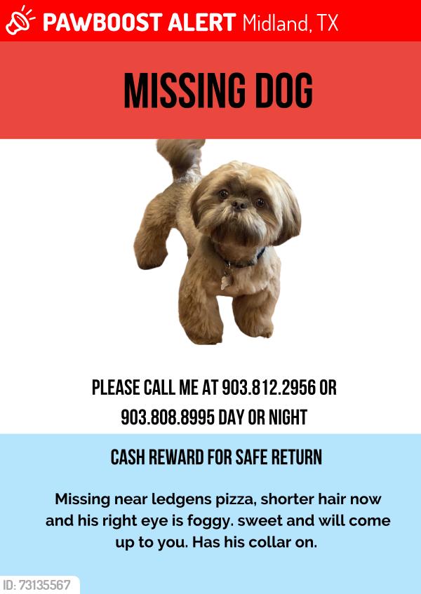 Lost Male Dog last seen Near S County Road 1270 Midland, TX 79706, Midland, TX 79706