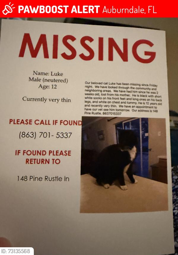 Lost Male Cat last seen Near Pine Rustle Lane, Auburndale, FL 33823