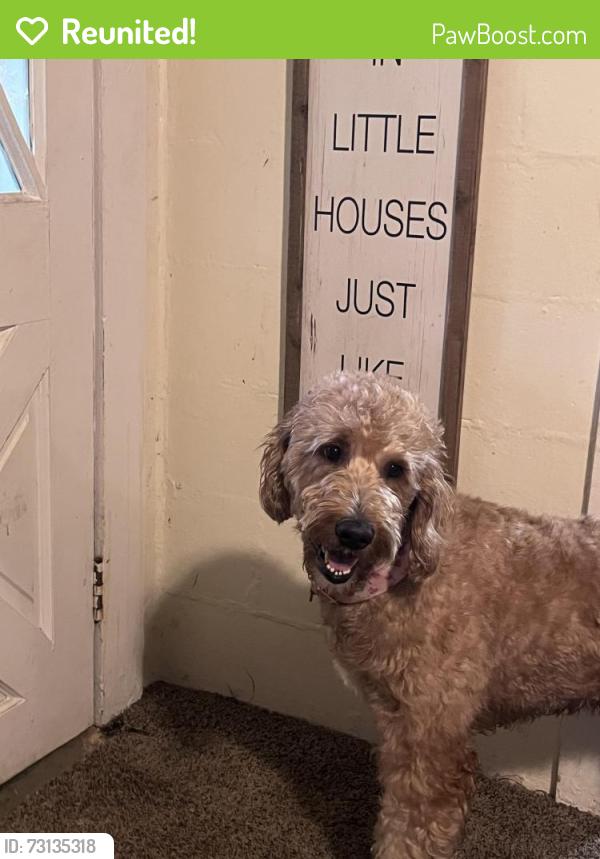 Reunited Female Dog last seen Near Union Rd, Cleveland, TN 37323