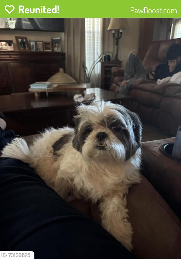 Reunited Female Dog last seen Near Dulles, San Antonio, TX 78251, USA, San Antonio, TX 78251