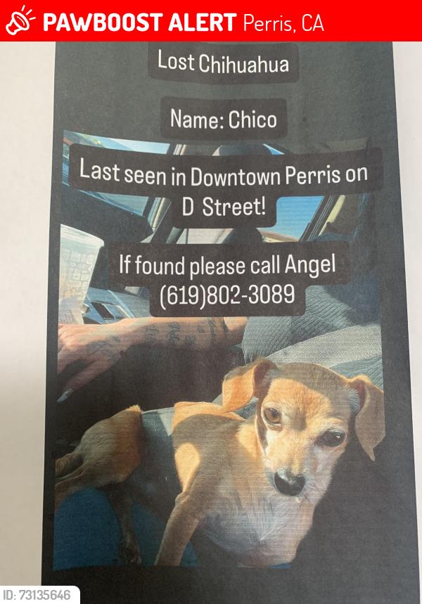 Lost Male Dog last seen First street and 4th st Perris ca, Perris, CA 92570