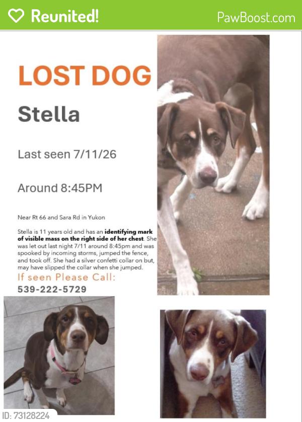 Reunited Female Dog last seen Rte 66, Yukon, OK 73099