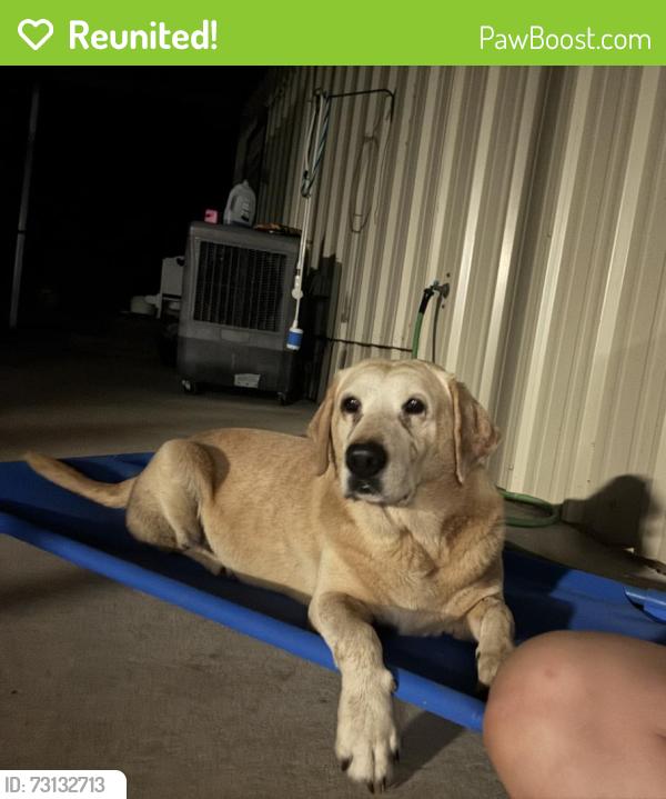 Reunited Female Dog last seen Years to grow daycare, Youngsville, LA 70592