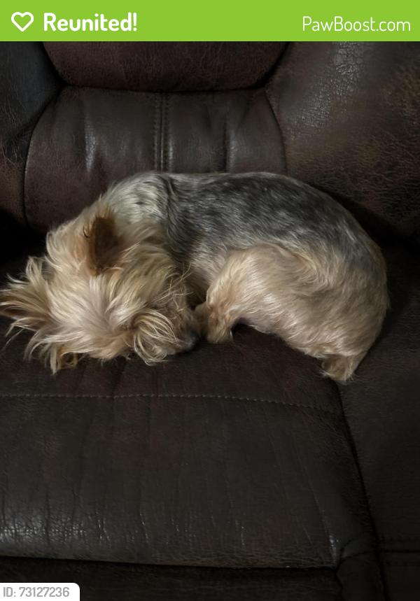 Reunited Male Dog last seen Near N 127th E Ave Owasso, Owasso, OK 74055