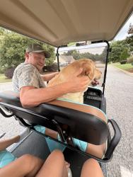 Reunited Male Dog last seen Zimmerman rd, Spartanburg County, SC 29365