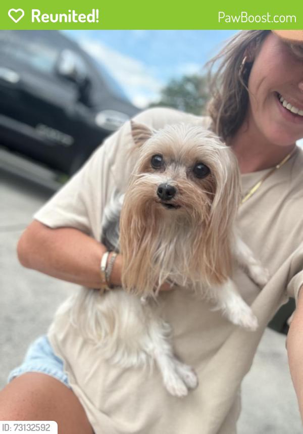 Reunited Female Dog last seen Shaconage neighborhood, Sevierville, TN 37876