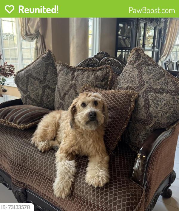 Reunited Male Dog last seen Newland/Hamilton, Huntington Beach, CA 92646