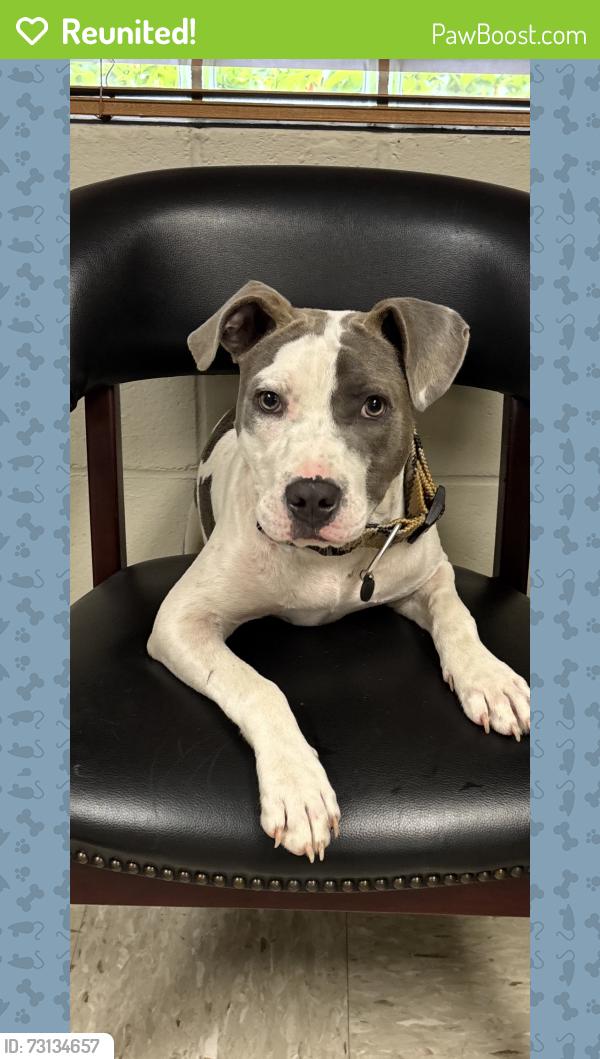 Reunited Male Dog last seen Burmaster, Columbia, SC 29229