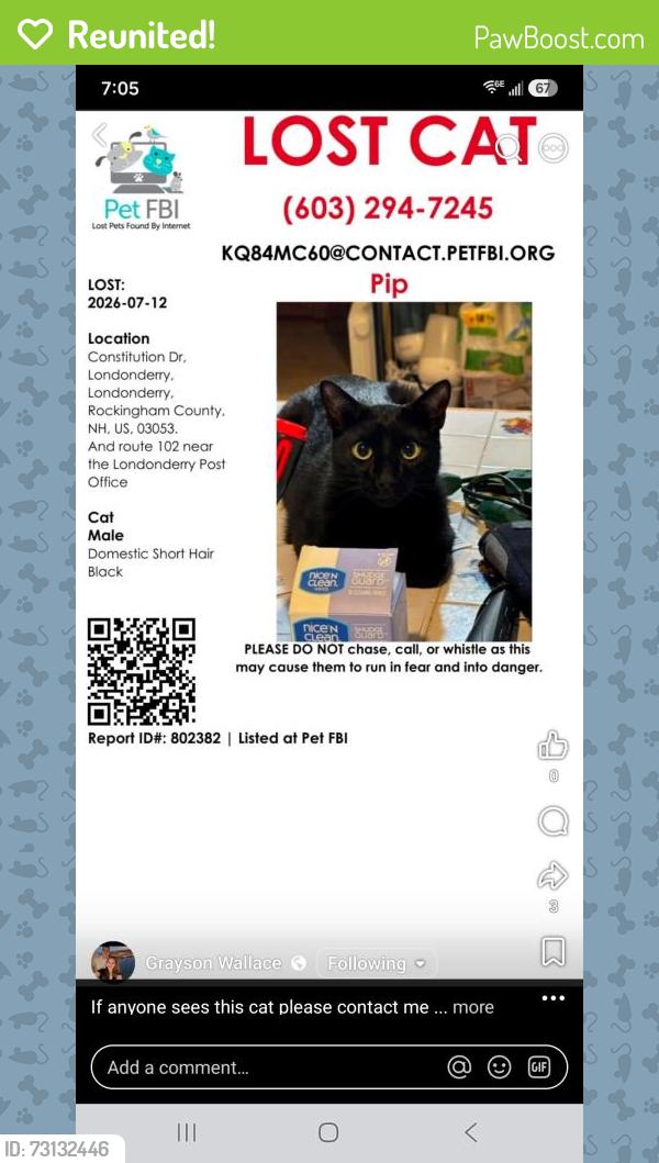 Reunited Male Cat last seen Rt 102, Londonderry, NH 03053