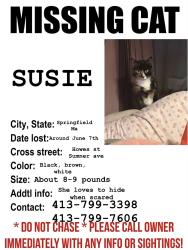 Lost Female Cat last seen Sumner ave, Springfield, MA 01118