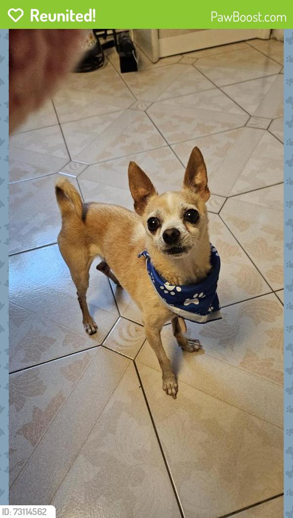 Reunited Male Dog last seen Parc Giuseppe-Garibaldi, Montréal, QC H1S 2W9