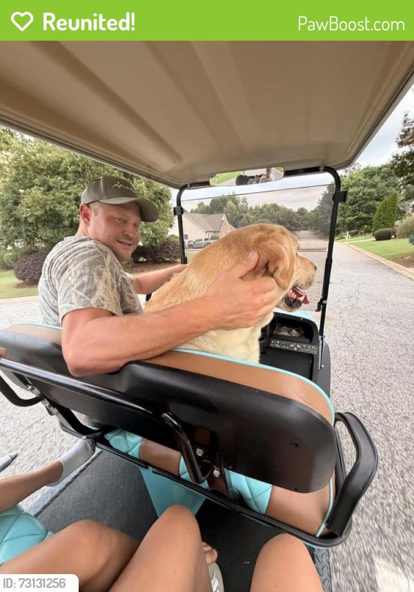 Reunited Male Dog last seen Zimmerman rd, Spartanburg County, SC 29365