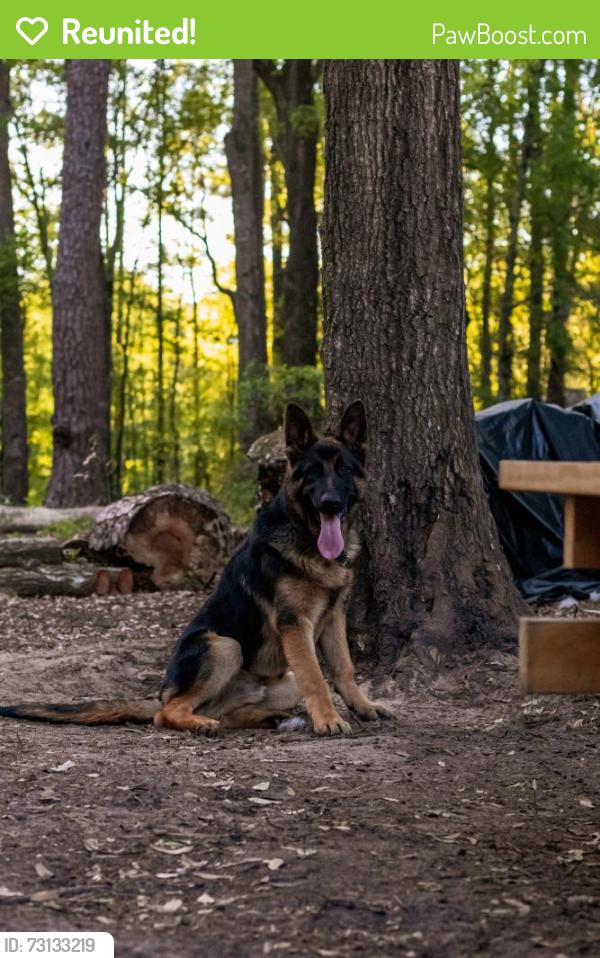 Reunited Male Dog last seen Dorchester & Bacons Bridge, Summerville, SC 29485