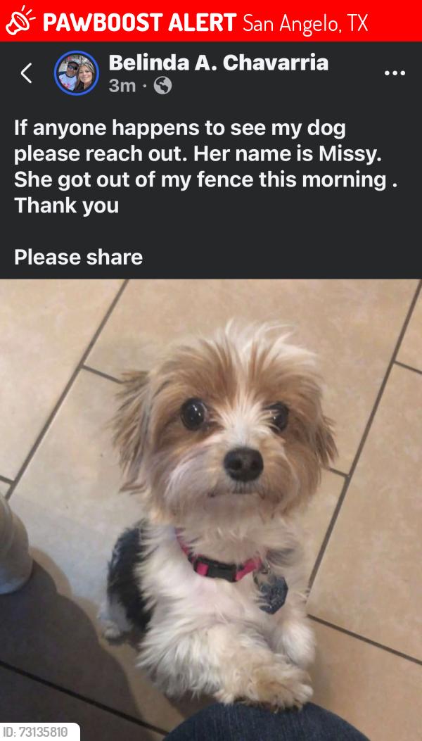 Lost Female Dog last seen Howard, San Angelo, TX 76901