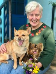 Reunited Female Dog last seen Noble, Visalia, CA 93277