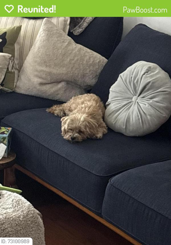 Reunited Female Dog last seen Miss, Hayward, CA 94541