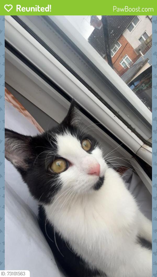 Reunited Female Cat last seen Leisure Centre, Braunstone Town, England 