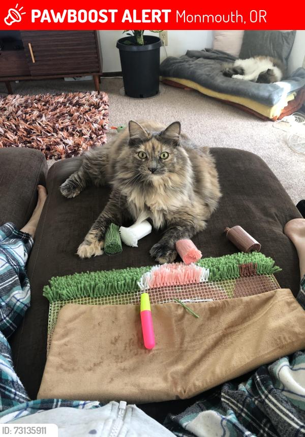Lost Female Cat last seen Jackson street, Monmouth, OR 97361