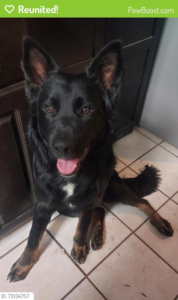 Reunited Male Dog last seen Rimpau and circle city dr., Corona, CA 92879