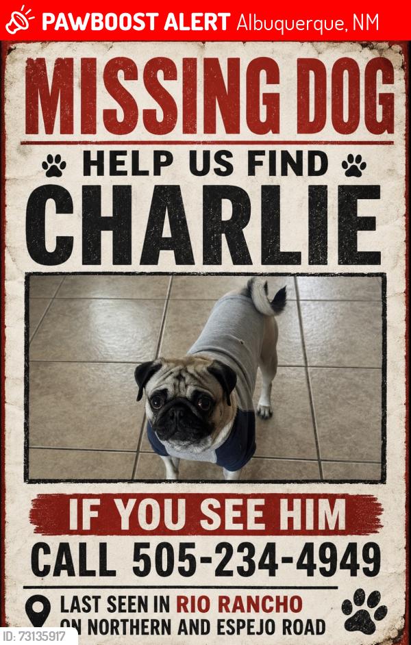 Lost Male Dog last seen Near Espejo RD NW Rio Rancho NM 87124, Albuquerque, NM 87124