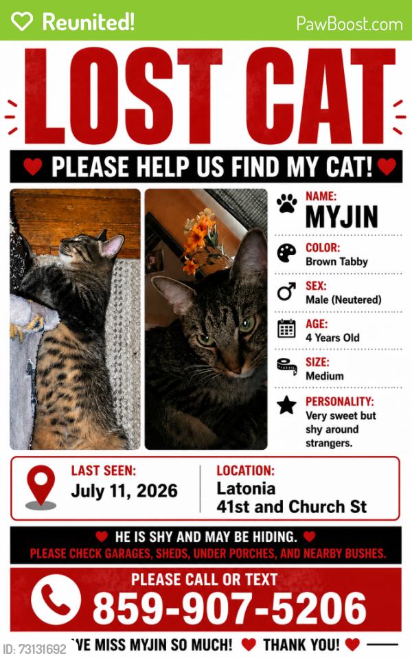 Reunited Male Cat last seen 41st and 40th st , Covington, KY 41015