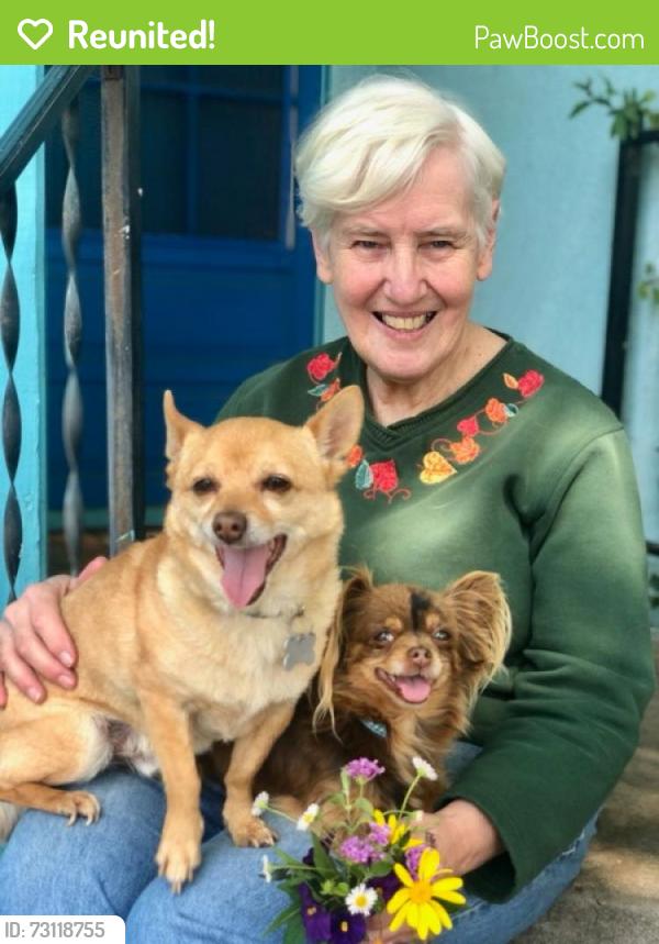 Reunited Female Dog last seen Noble, Visalia, CA 93277