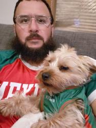Reunited Male Dog last seen Octavia and Barry, Chicago, IL 60707