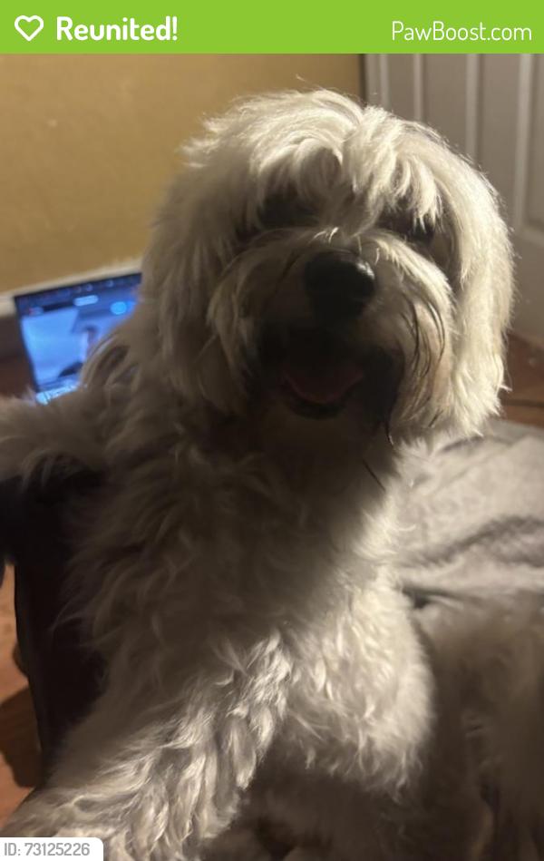 Reunited Female Dog last seen Near nw 14th pl Fort Lauderdale Florida 33311, Fort Lauderdale, FL 33301