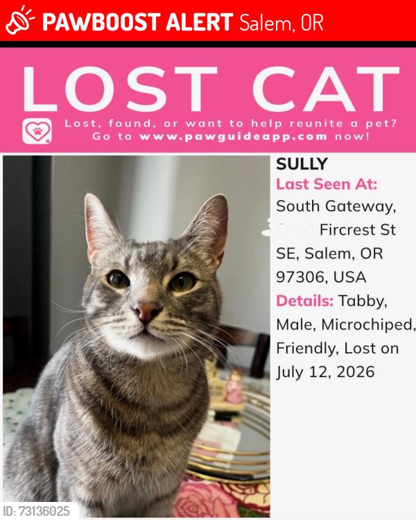 Lost Male Cat last seen Gateway South, Salem, OR 97306