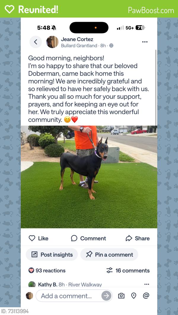 Reunited Female Dog last seen Grantland Garfield, Fresno, CA 93723