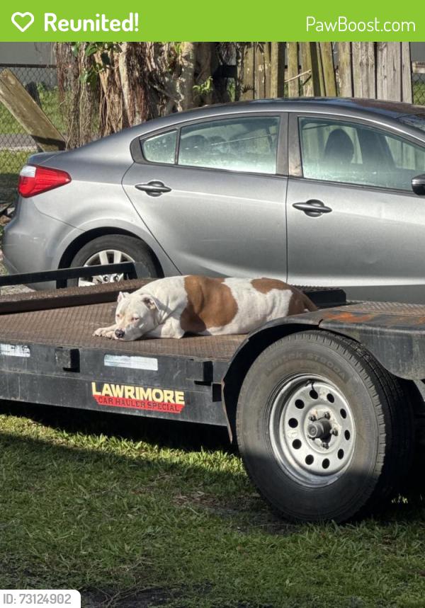 Reunited Male Dog last seen us1, and Market ave near where they are building the new Savannahs community, Fort Pierce, FL 34982