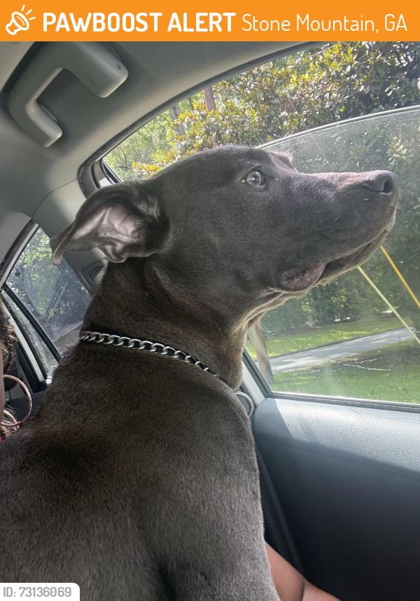 Found/Stray Male Dog last seen E.l miller middle school, Stone Mountain, GA 30088