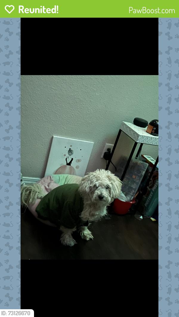 Reunited Female Dog last seen Pebble Hills, El Paso, TX 79938