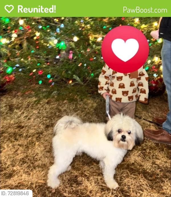 Reunited Male Dog last seen Chuck Camp Park, Marietta, GA 30060